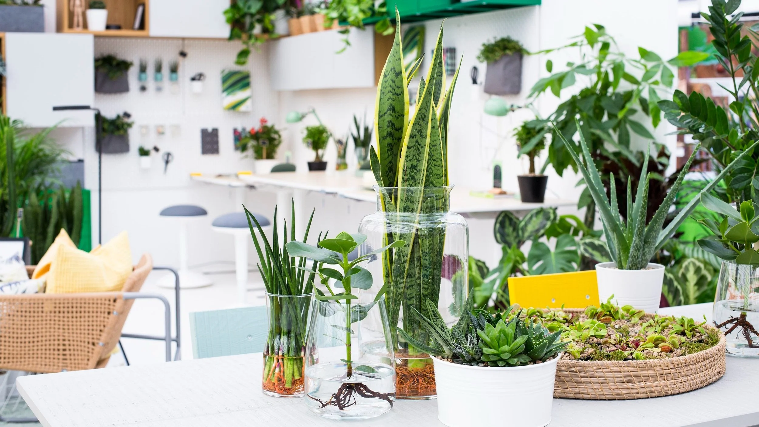 Agricultural and NA plots in Thane Murbad region