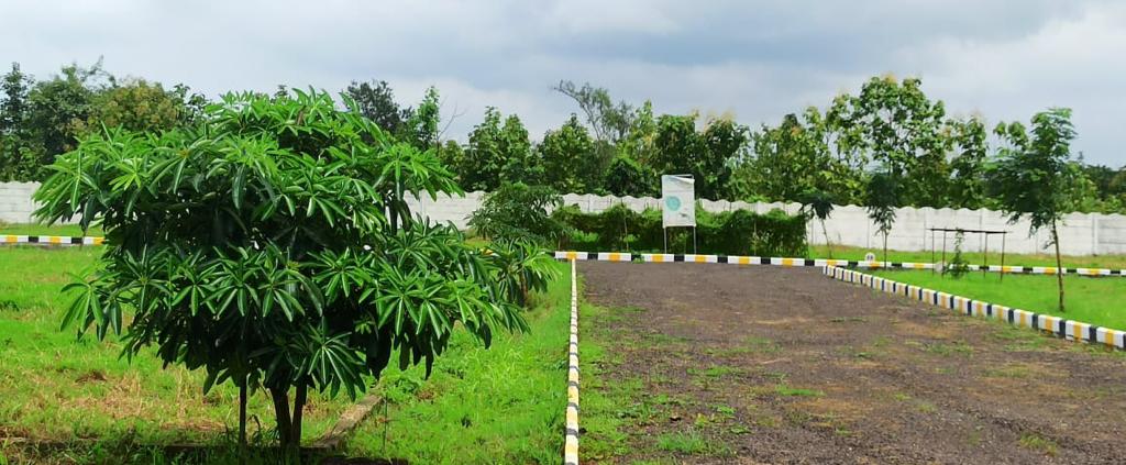 NA plot development project